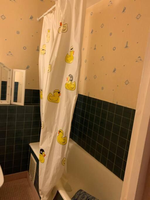 Appartement Confortable Et Tranquillite Assurer Tours Luaran gambar